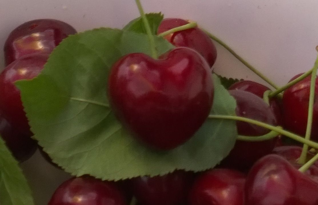 Durone di Vignola - Variet "Cuore caprinese"