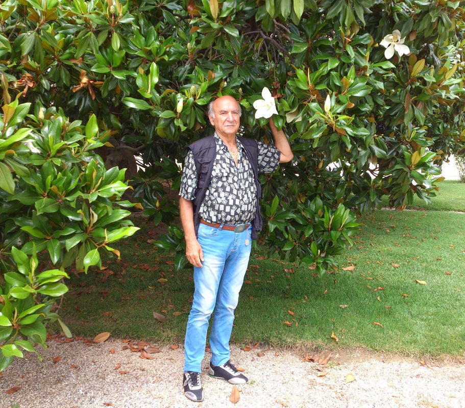 Istanbul, 1° luglio 2014 - Dolmabahce