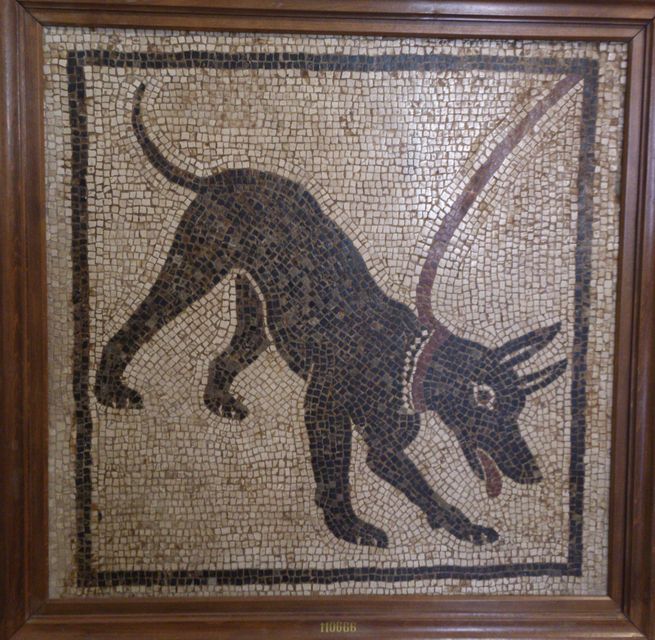 Napoli - Museo archeologico - Mosaico - Cave canem