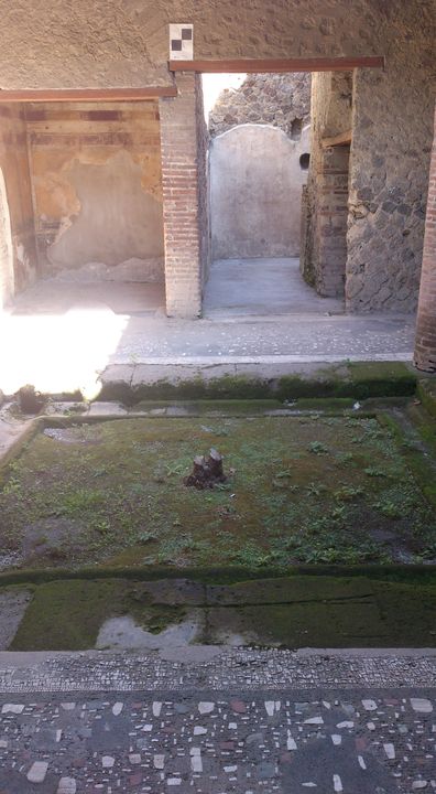 Impluvium