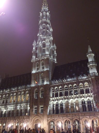 Bruxelles, 21 novembre 2014 - Grand Place